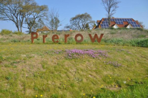 Stoertebeker-6 in Prerow
